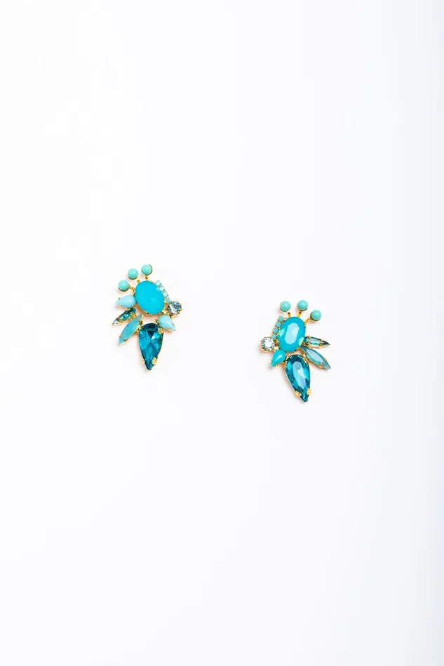 Elizabeth Cole Jewelry Earrings Brynne Earrings
