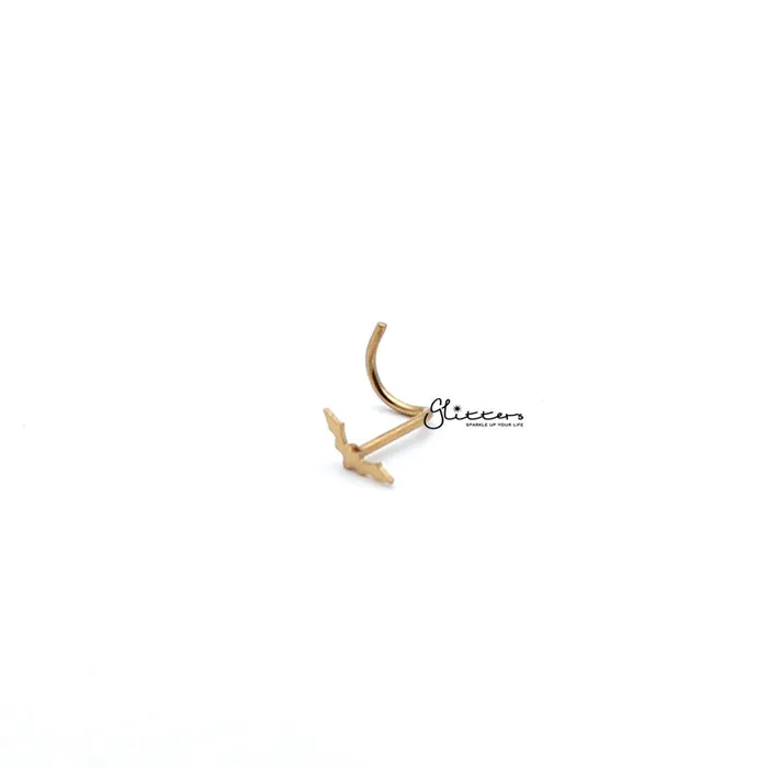 Glitters Earrings 20 Gauge 316L Surgical Steel Bat Nose Screw Silver Gold