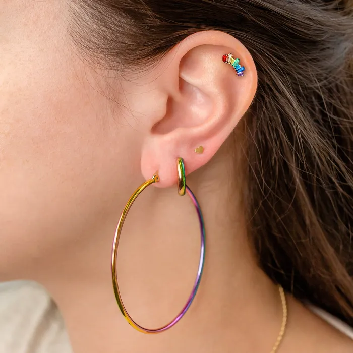 Grayling Earrings Prism Rainbow Titanium Flat Back Sleeper Earrings